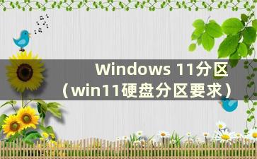 Windows 11分区（win11硬盘分区要求）